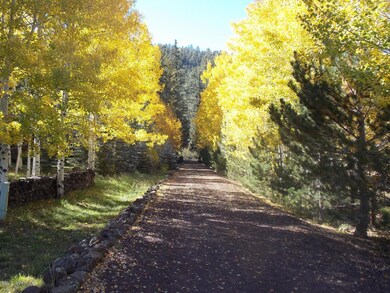 18A Cr 1120, Greer, AZ 85927 - photo 3