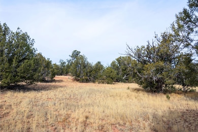 Loba Ln, Seligman, AZ 86322 - photo 4
