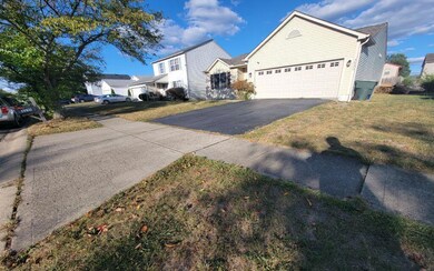 3230 saint bernard_(13)