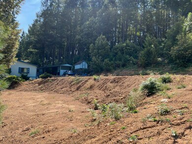 0 Barlow St, Cave Junction, OR 97523 - photo 6