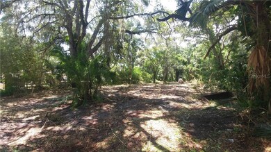 Mature landscaping with tremendous privacy
