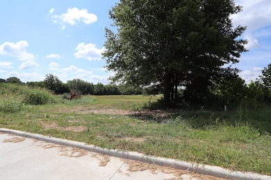 Lot 4