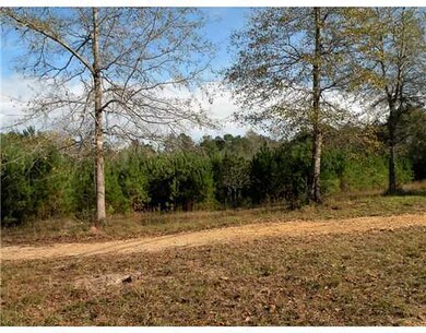 5.5 AC 5 Ac Highway 26 Hwy, Lucedale, MS 39452 - photo 5