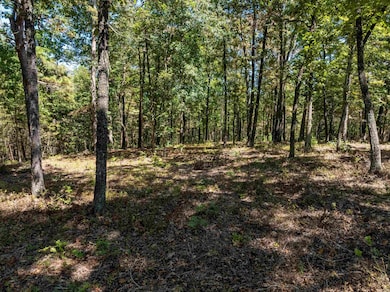 0 Silver Springs Rd unit 25040549, Evening Shade, AR 72532 - photo 6