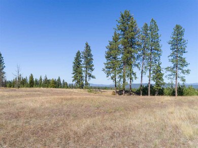 28107 N Perry Rd, Chattaroy, WA 99003 - photo 4