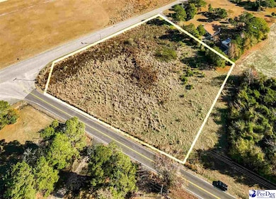 2.34 Acres Hwy 57, Pamplico, SC 29583 - photo 2