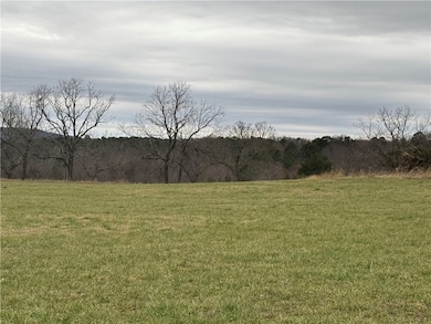 Tract B-1 Nicewarner Rd, Lincoln, AR 72744 - photo 2