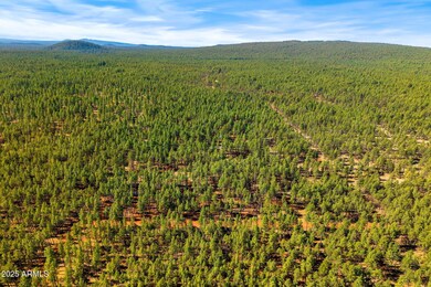 915BirdsongWay-Lakeside-AZ-3