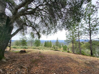 6180 Starlight Ln, Mountain Ranch, CA 95246 - photo 7