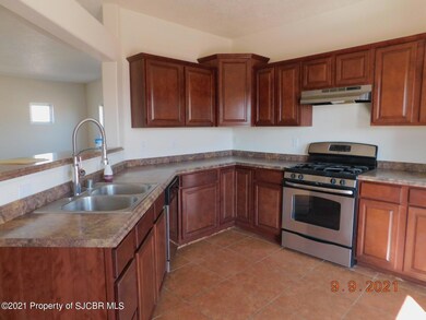 28 County Road 3791, Farmington, NM 87401 - photo 4