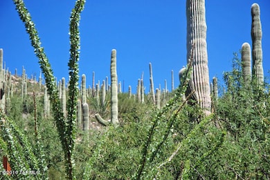 5383 N Falcon Crest Place, Tucson, AZ 85749 - photo 3
