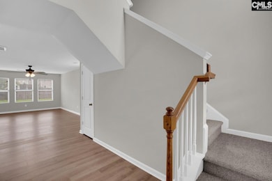 100 Baltic Ct, Chapin, SC 29036 - photo 4