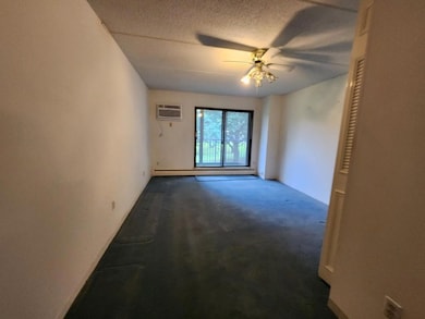 10501 Cedar Lake Rd unit 212, Hopkins, MN 55305 - photo 7