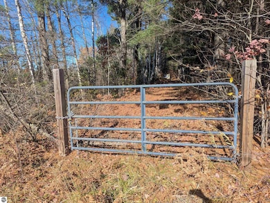 8133 Co Road 612 NE, Kalkaska, MI 49646 - photo 6