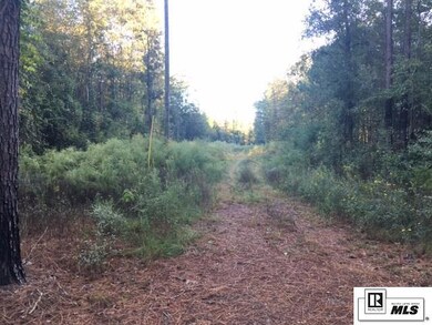 238 Garner Rd, Jonesboro, LA 71251 - photo 4