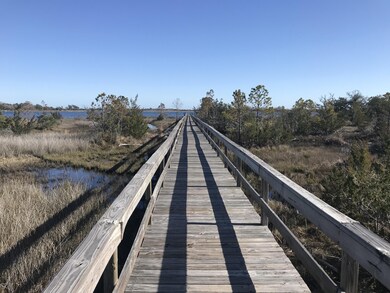 196 Royal Palms Way, Holly Ridge, NC 28445 - photo 5