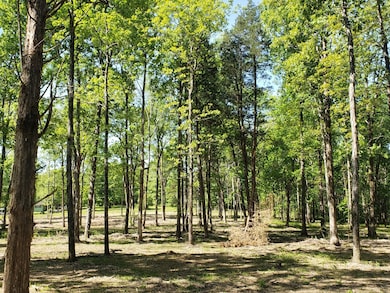 4821 Kedron Rd, Spring Hill, TN 37174 - photo 5