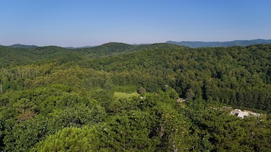 0 Mount Calvary Church Rd, Stuart, VA 24171 - photo 6