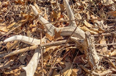 0 C Hwy Hwy unit HMS2572465, Albany, MO 64402 - photo 6