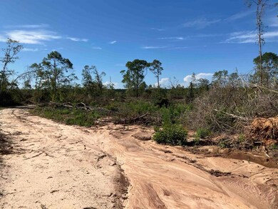 248 ac Bell Crossing Rd, Opp, AL 36467 - photo 4