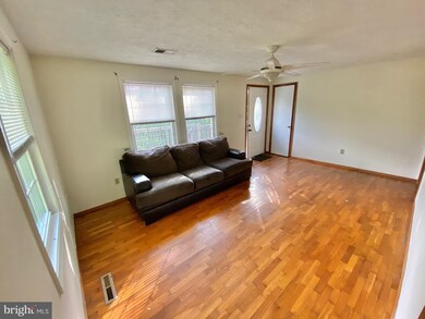 3723 Remount Rd, Front Royal, VA 22630 - photo 7