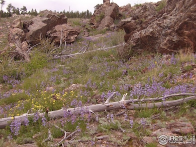 3434 Davis Ranch Rd, Bellvue, CO 80512 - photo 7