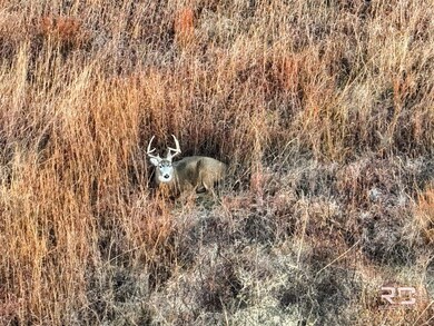 0000 US Hwy 160, Wilmore, KS 67155 - photo 6