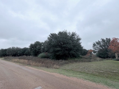 0 Telge Rd Rd unit 98889352, Cypress, TX 77429 - photo 5