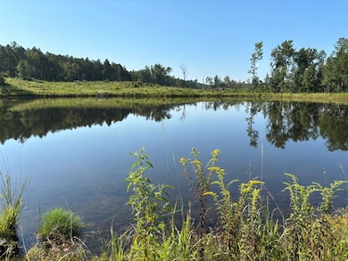 00 Martin Dr, Carthage, MS 39051 - photo 6