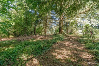 110 Rawlins Rd, Toledo, WA 98591 - photo 5