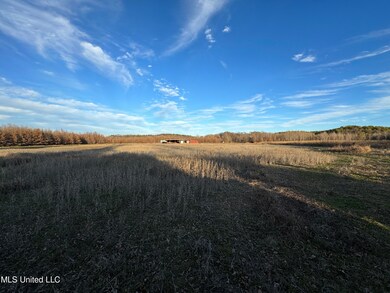 IMG_4648