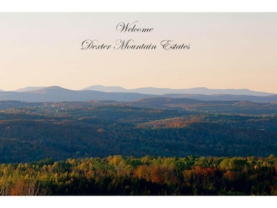 1592 Dexter Mountain Rd, Glover, VT 05839 - photo 5