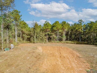 TBD N Fm 161, Hughes Springs, TX 75656 - photo 4