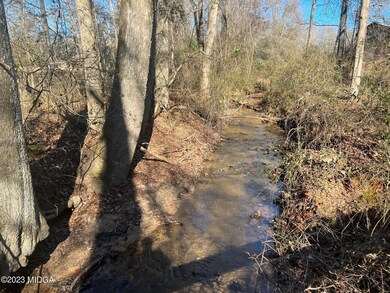 0 N Delray Rd unit 168762, Thomaston, GA 30286 - photo 3