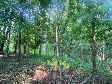 0 Irish Corner Rd, Summersville, WV 26651 - photo 5