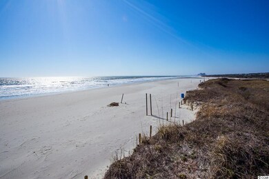 5021 Old Appleton Way unit 49 Appleton, North Myrtle Beach, SC 29582 - photo 5