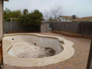 BACKYARD (1)