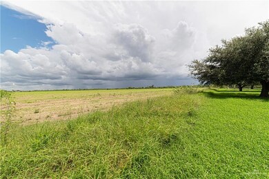 810 N 11th St, Donna, TX 78537 - photo 5