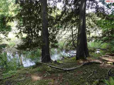 NNA Audrey Ln, Sagle, ID 83860 - photo 6