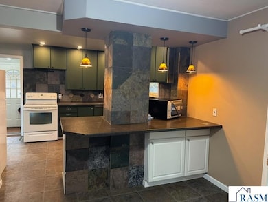 510 E Willis St, Elmore, MN 56027 - photo 5