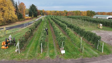 5630 Norris Rd, Huron, NY 14516 - photo 4