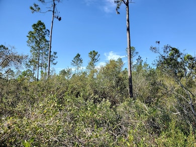 0 County Line Rd unit 20907517, Lee, FL 32059 - photo 5