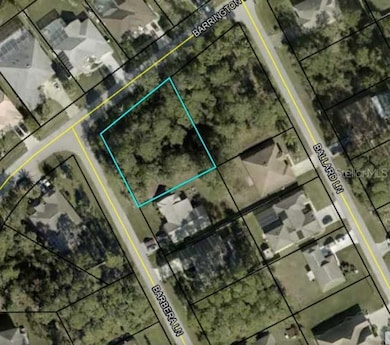 1 Barbera Ln, Palm Coast, FL 32137 - photo 2