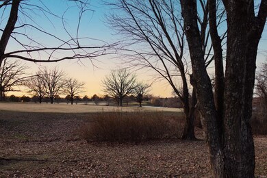 13327 Canuck Ln, Dixon, MO 65459 - photo 6