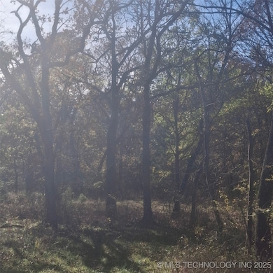 12834 N 68th West Ave, Skiatook, OK 74070 - photo 2