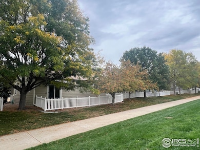 13963 Cook St, Thornton, CO 80602 - photo 4