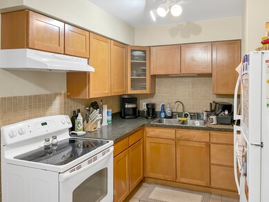 4751 25th Ave unit 4, Schiller Park, IL 60176 - photo 3