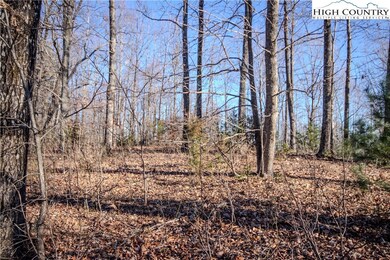 2221 Nighthawk Ridge Ct, Lenoir, NC 28645 - photo 7