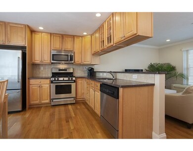 45 Chestnut St unit 3, Waltham, MA 02453 - photo 3