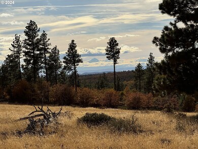 0 Jensen Quarry Rd unit 458778571, Bickleton, WA 99322 - photo 3